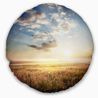Designart Mountain Meadow Under Overcast Sky' Landscape Printed Throw Cushion Pillow Cover for Living Room, Sofa 20" Round