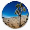 Designart Joshua Tree in Open Desert' Landscape Printed Throw Cushion Pillow Cover for Living Room, Sofa 20" Round view 1