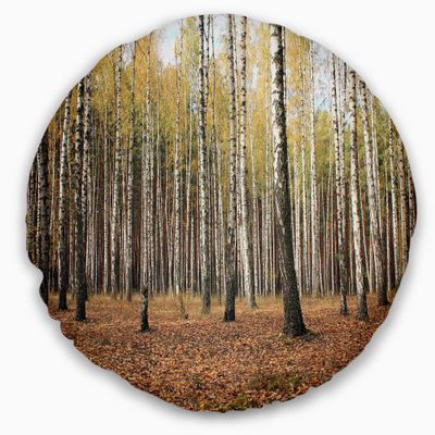 Designart Beautiful Birch Photography' Modern Forest Throw Living Room, Sofa, High Quality Pillow Insert and Cushion Cover Printed 20" Round