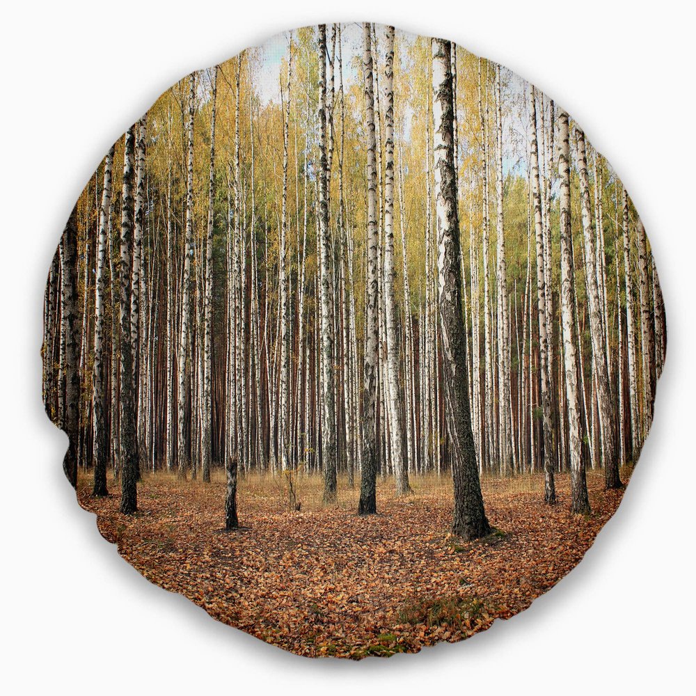 Designart Beautiful Birch Photography' Modern Forest Throw Living Room, Sofa, High Quality Pillow Insert and Cushion Cover Printed 20" Round