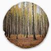 Designart Beautiful Birch Photography' Modern Forest Throw Living Room, Sofa, High Quality Pillow Insert and Cushion Cover Printed 20" Round view 1