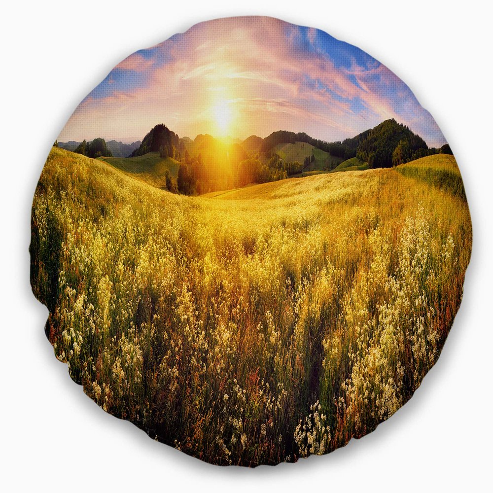 Designart Beautiful Meadow Panorama' Landscape Throw Living Room, Sofa, High Quality Pillow Insert + Cushion Cover Printed On Both Side 20" Round