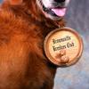 Personalized St Bernard Whiskey Barrel Collar for Dog, 1/2 Liter Oak Aging Barrel Dispenser for Saint Bernard Dogs with Adjustable, Real Leather Harness Strap view 2
