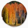 Designart Fall Trees Panorama' Landscape Throw Living Room, Sofa, High Quality Pillow Insert + Cushion Cover Printed On Both Side 20" Round view 1
