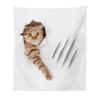 Lunarable Animal Tapestry, Funny Cat in Hole with Claw Scratches Playful Kitten Pet Picture, Fabric Wall Hanging Decor for Bedroom Living Room Dorm, 23" X 28", White Brown view 1