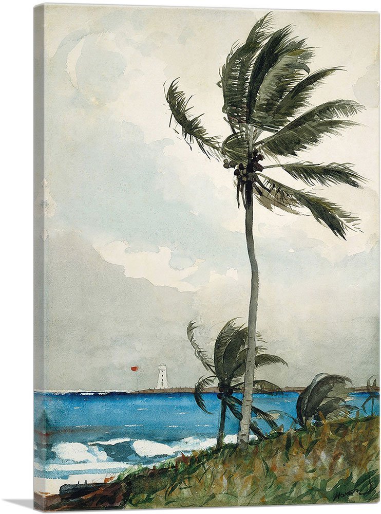 ARTCANVAS Palm Tree - Nassau 1898 Canvas Art Print Stretched Framed Painting Picture Poster Giclee Wall Decor by Winslow Homer - 40" x 26" (0.75" Deep)