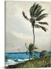 ARTCANVAS Palm Tree - Nassau 1898 Canvas Art Print Stretched Framed Painting Picture Poster Giclee Wall Decor by Winslow Homer - 40" x 26" (0.75" Deep) view 1