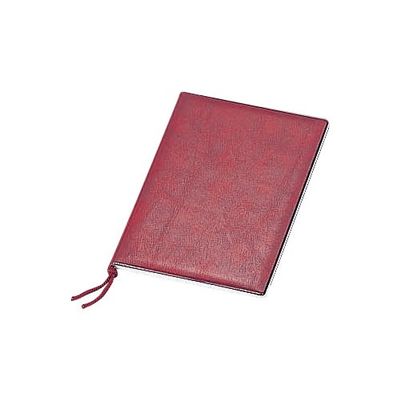 The USA imu (aim) Tabletop enzi Medium BB 102