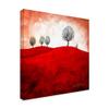 Trademark Fine Art Walking The Dog in Red Hills by Cherie Roe Dirksen, 18x18-Inch view 2