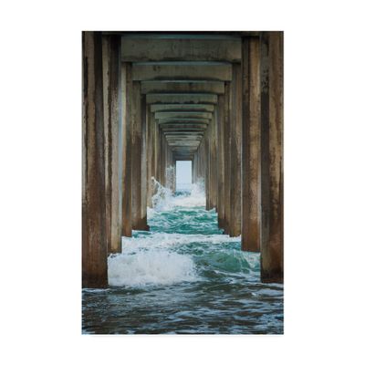 Trademark Fine Art Scripps Splash by Chris Moyer, 16x24-Inch