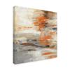 Trademark Fine Art Golden Dust Crop Orange by Silvia Vassileva, 18x18-Inch view 2