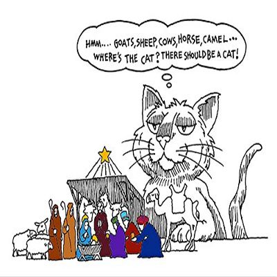 (5 Pack) Where's the Cat? Christmas Card (Inside Reads: Merry Christmas!)