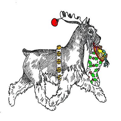 (5 Pack) Reindeer Miniature Schnauzer Christmas Card (Inside Reads: Merry Christmas!)