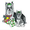 (5 Pack) Yorkshire Terrier Christmas Card (Inside Reads: Merry Christmas!) view 1