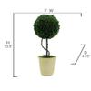 Admired by Nature 13.5"H Faux Preserved Artificial Boxwood Topiary Plant Tabletop with Double Ball In Pot, Artificial boxwood Balls For Pots for Home Decor, Office Desk, Front Porch Indoor and Outdoor view 2