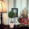 Admired by Nature 13.5"H Faux Preserved Artificial Boxwood Topiary Plant Tabletop with Double Ball In Pot, Artificial boxwood Balls For Pots for Home Decor, Office Desk, Front Porch Indoor and Outdoor view 4