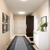 ORFA HOME Custom Cut Hallway Runner Rug, Slip Resistant, 31 Inch Wide X Your Choice of Length, Zebra Anthracite, 31 Inch X 22 feet view 4