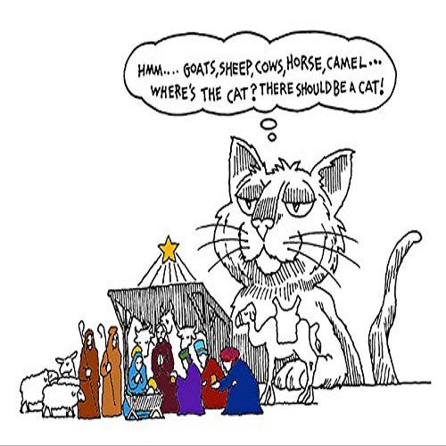 (10 Pack) Where's the Cat? Christmas Card (Inside Reads: Merry Christmas!)