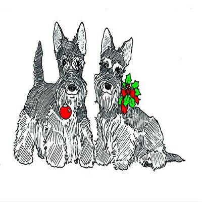 (10 Pack) Scottish Terrier Christmas Card (Inside Reads: Merry Christmas!)