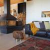 Balvi Stool, La Vache, Brown, Faux Leather/Wood view 2