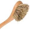 REDECKER Curved Dish Brush, Natural Union Plant Fiber Bristles, Ergonomic Design with Oiled Beechwood Handle, 9-1/4 Inches, Set of 2, Made in Germany - Natural Bristle Dish Brush view 2