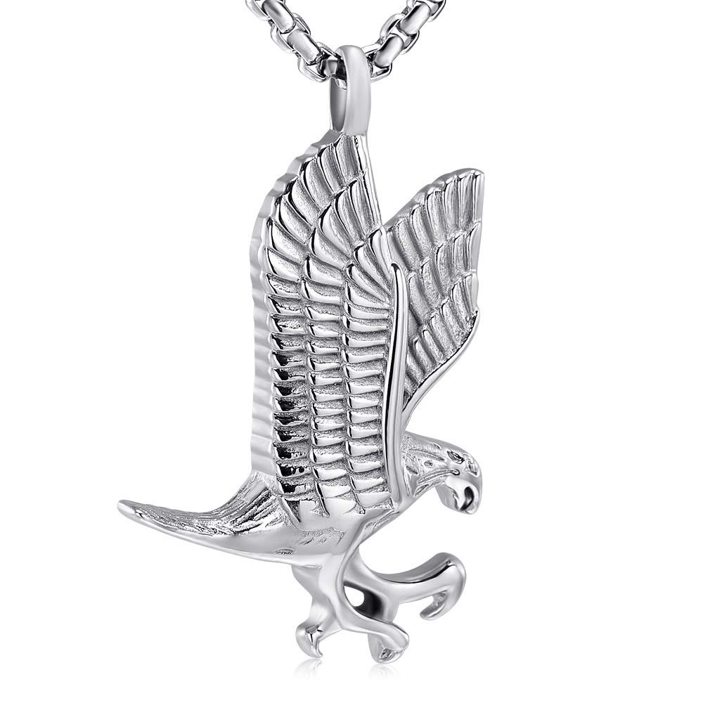 Oinsi Pet Cremation Jewelry - Heart Urn Necklaces for Dog Cat Ashes Keepsake Pet Paw Memorial Urn Pendant Ash Holder for Women Men (B-Silver)