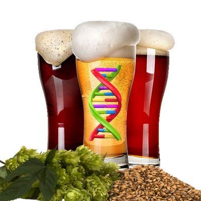 Brewer's Best Continental Pilsner Homebrew Beer Ingredient Kit