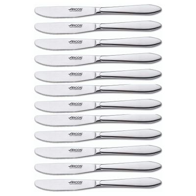 Arcos 560200-DUN14 Series Berlin-Box Lunch Table Knife-Monoblock of one Stainless Steel 85 mm (3.35 Inch) Silver Colour (12 Piece), ands Plastic