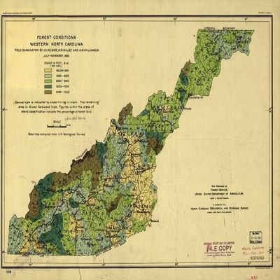 14" x 24" 1909 Map Forest Conditions Western North Carolina