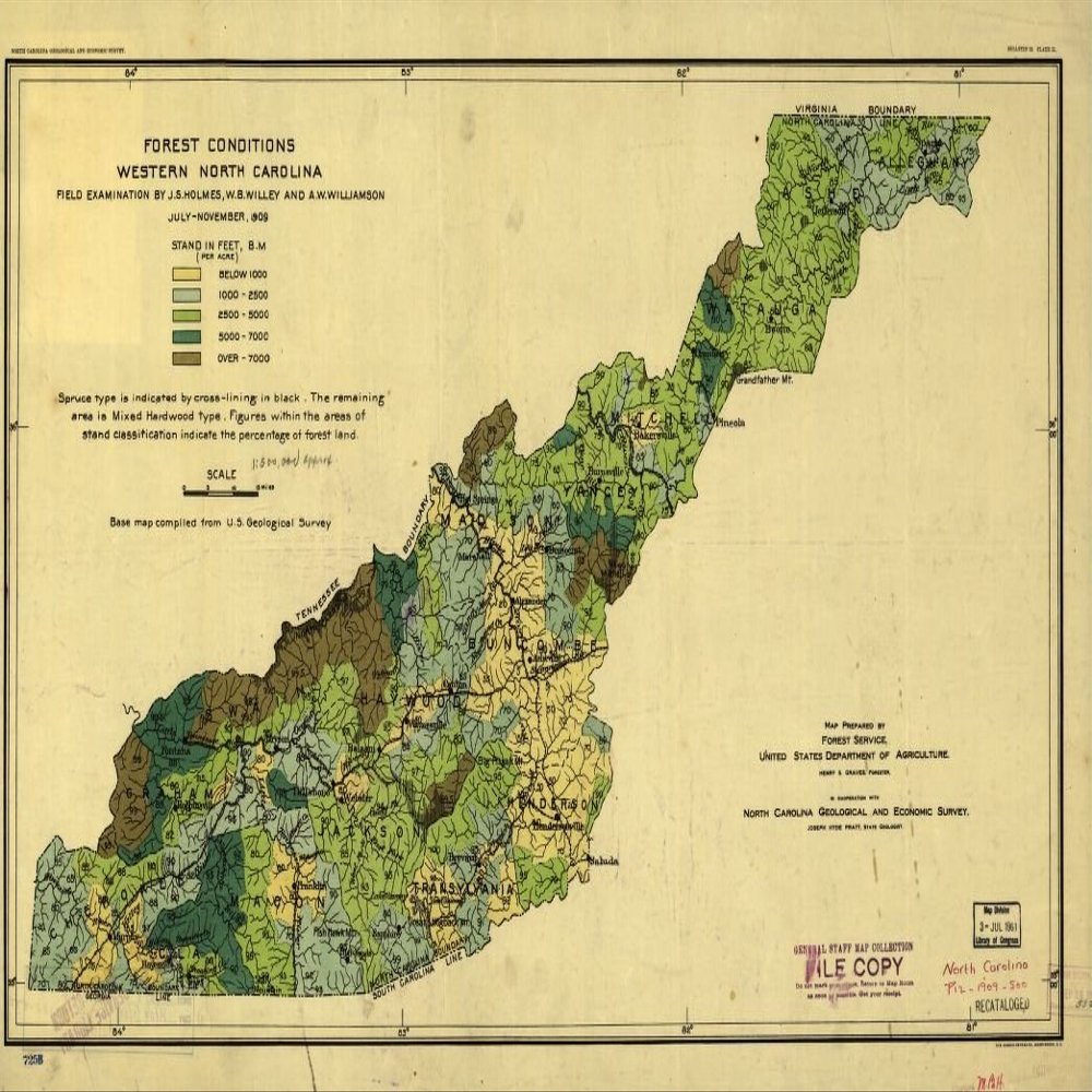 14" x 24" 1909 Map Forest Conditions Western North Carolina