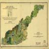 14" x 24" 1909 Map Forest Conditions Western North Carolina view 1
