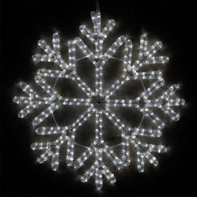 Wintergreen Lighting 24" LED Snowflake Light Christmas Decorations Outdoor, 40 Point Cool White Rope Light