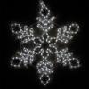 Wintergreen Lighting 24" LED Snowflake Light Christmas Decorations Outdoor, Diamond Branch Rope Light (Cool White LED) view 1