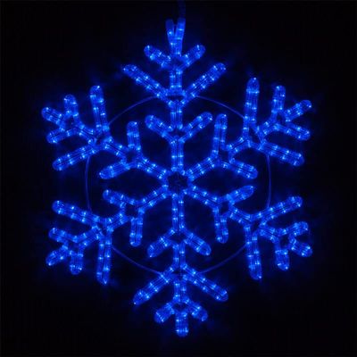 Wintergreen Lighting LED Snowflake Light Christmas Decorations Outdoor, Rope Light (24", 42 Point, Blue)