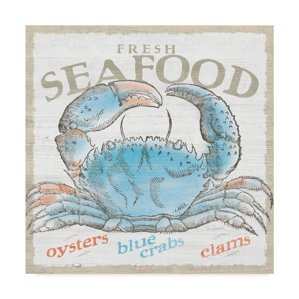 Trademark Fine Art Seaside Life II by Sue Schlabach, 18x18-Inch