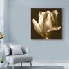 Trademark Fine Art Sepia Tulip Ii by Rene W. Stramel e W, 18x18-Inch view 3