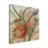 Trademark Fine Art Desert Botanicals Ii by John Butler, 18x18-Inch view 2