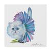 Trademark Fine Art Kitten Ballerina Daisy Flower Stare Persian Cat by Lucy P. Mctier P, 18x18-Inch view 1