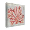 Trademark Fine Art Watercolor Coral Iii by Megan Meagher, 18x18-Inch view 2