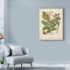 Trademark Fine Art Botanicals Vi by Elizabeth Twining, 35x47-Inch view 3