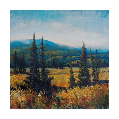 Trademark Fine Art Pacific Northwest Ii by Tim Otoole, 18x18-Inch