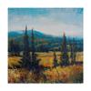 Trademark Fine Art Pacific Northwest Ii by Tim Otoole, 18x18-Inch view 1