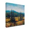 Trademark Fine Art Pacific Northwest Ii by Tim Otoole, 18x18-Inch view 2