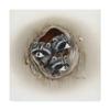 Trademark Fine Art Raccoons in Hole by Peggy Harris, 18x18-Inch view 1