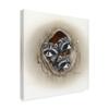 Trademark Fine Art Raccoons in Hole by Peggy Harris, 18x18-Inch view 2