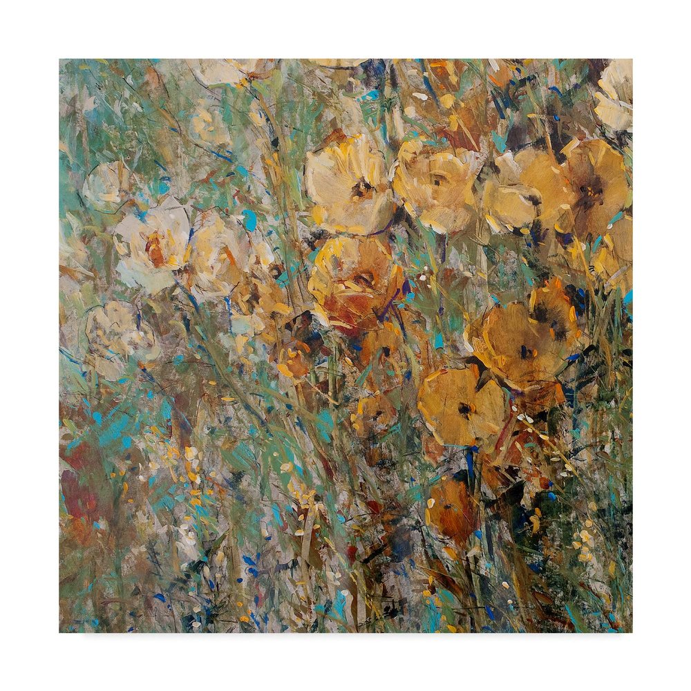 Trademark Fine Art Amber Poppy Field I by Tim Otoole, 24x24-Inch