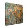 Trademark Fine Art Amber Poppy Field I by Tim Otoole, 24x24-Inch view 2