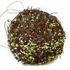 Natural Twig Balls with Green Sequin | 2 Balls | for Indoor Decor view 4