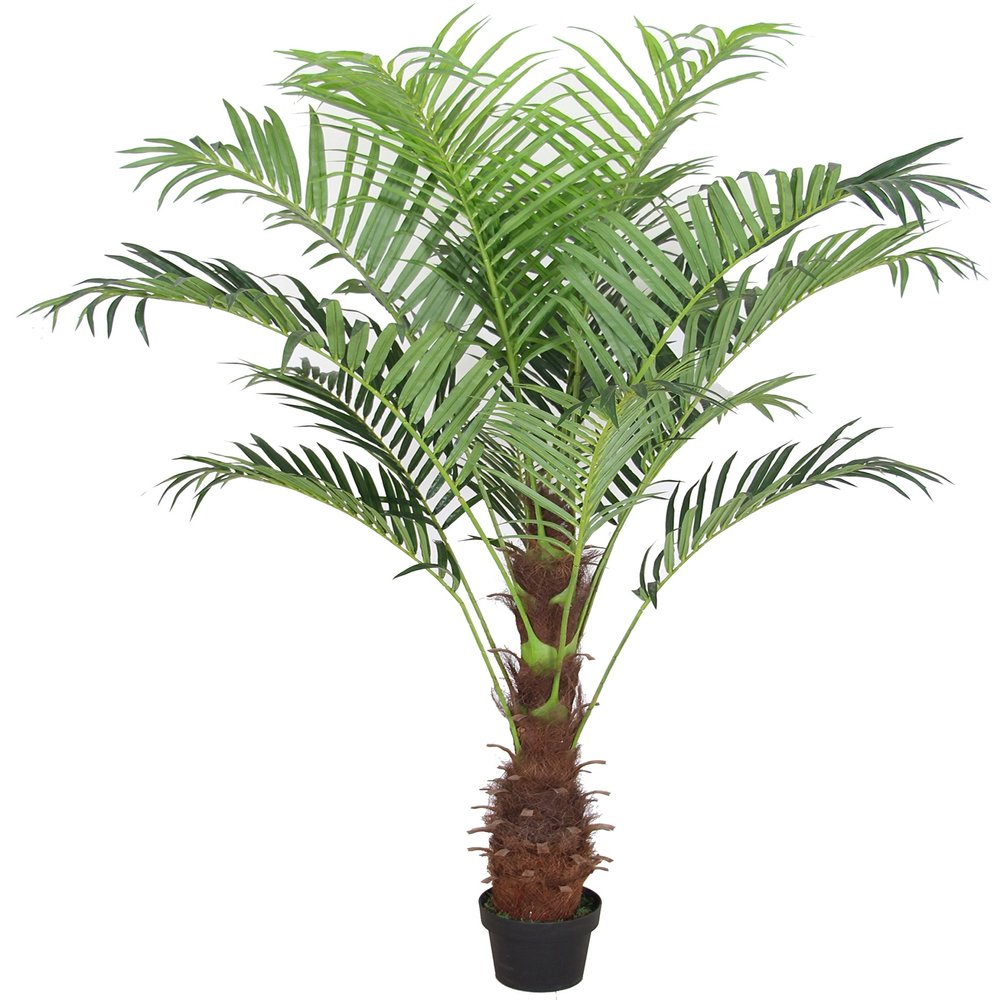 AMERIQUE Gorgeous & Unique 5 Feet Phoenix Palm Artificial Plant Tree with Nursery Plastic Pot, Real Touch Technology, 5', Green