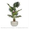 AMERIQUE 7' Exotic and Rare Tropical Philodendron Schott Arecaceae Tree Artificial Silk Plant with UV Protection, with Nursery Plastic Pot, Feel Real Technology, Super Quality, 7 Feet Green view 2